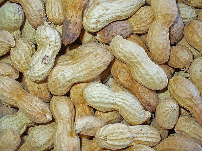 Graines d'arachides décortiquées Gasco